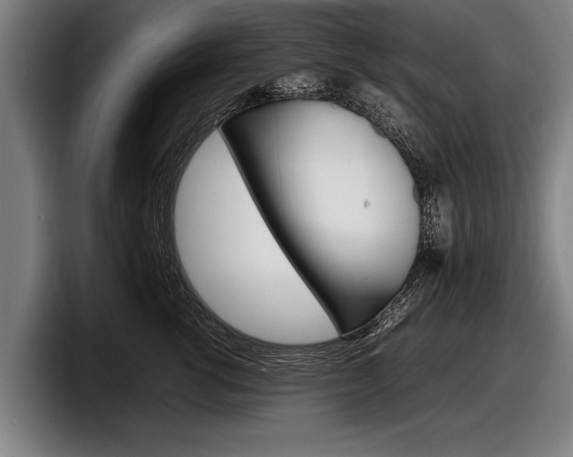 X0000098160762200804171217