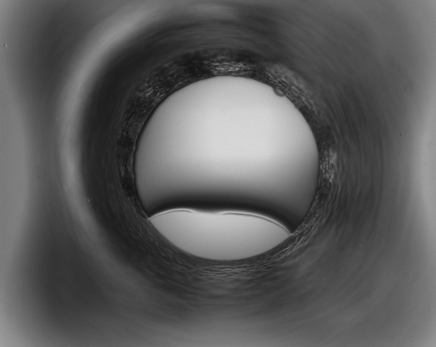 X0000098160763200804171217