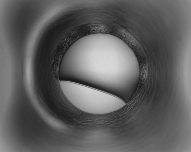 X0000098160764200804171217