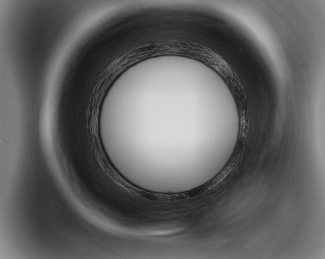 X0000098160765200804171217