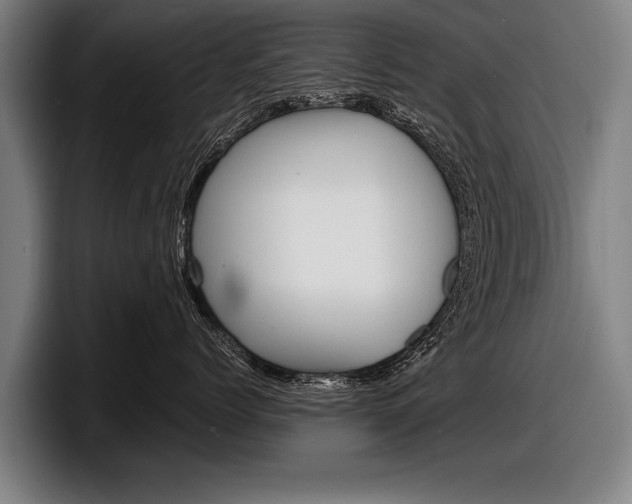 X0000098160768200804171217