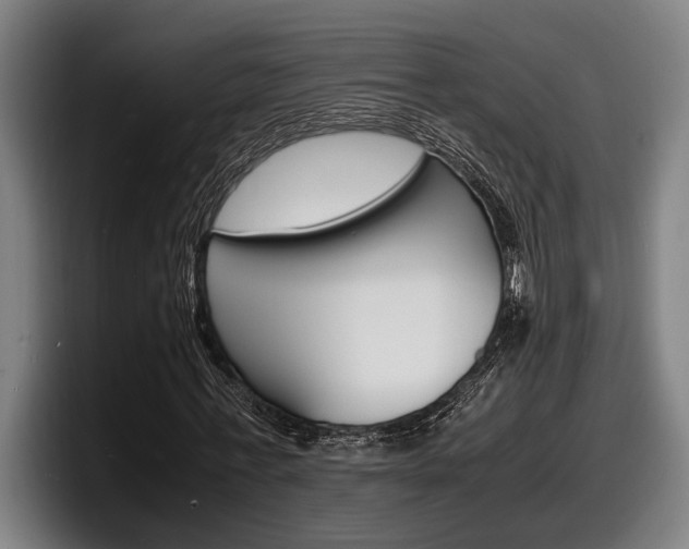 X0000098160771200804171217