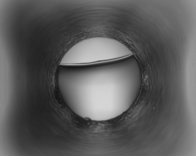 X0000098160772200804171217