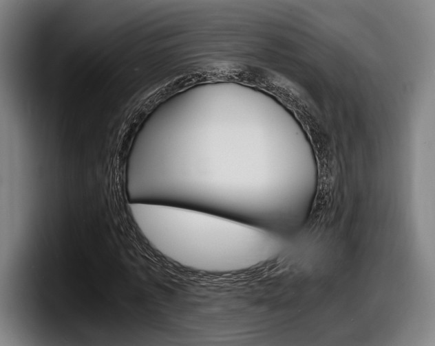 X0000098160773200804171217