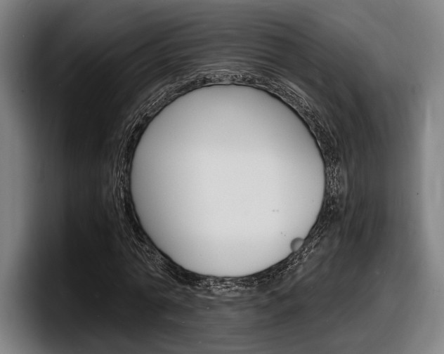 X0000098160774200804171217