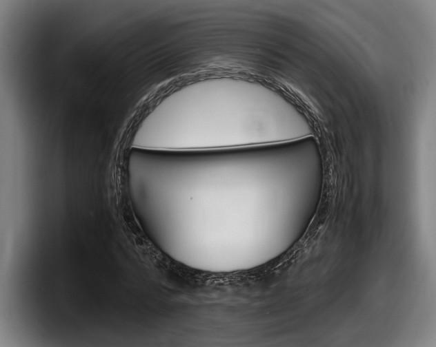 X0000098160776200804171217