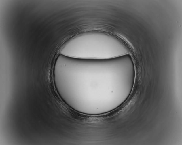 X0000098160777200804171217