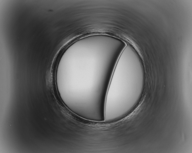 X0000098160779200804171217