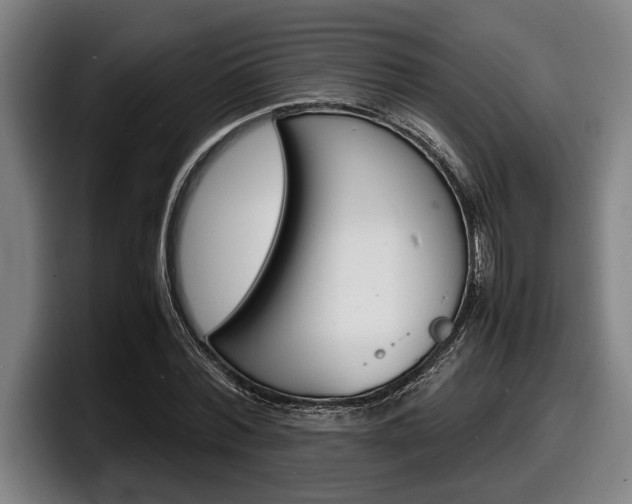 X0000098160780200804171217