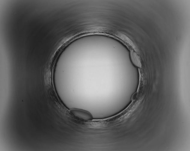 X0000098160781200804171217