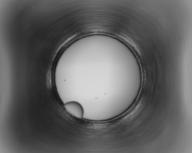 X0000098160782200804171217
