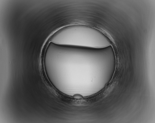 X0000098160784200804171217