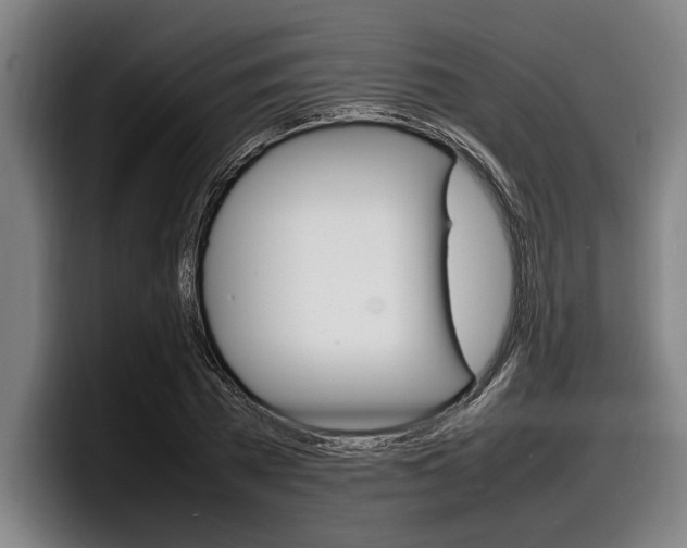 X0000098160785200804171217