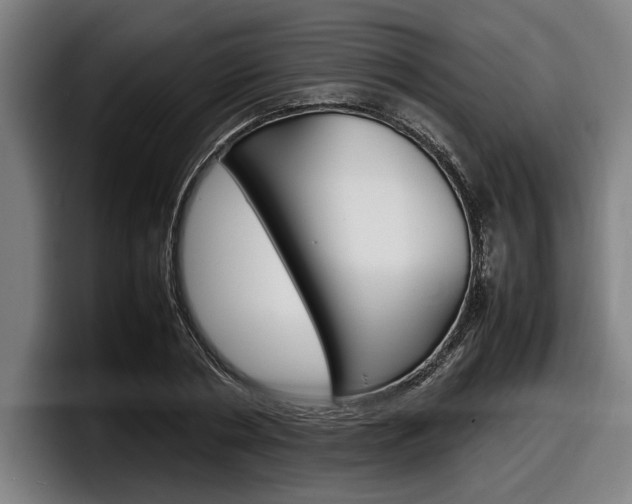 X0000098160786200804171217