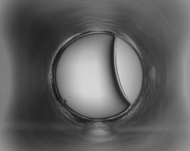 X0000098160787200804171217