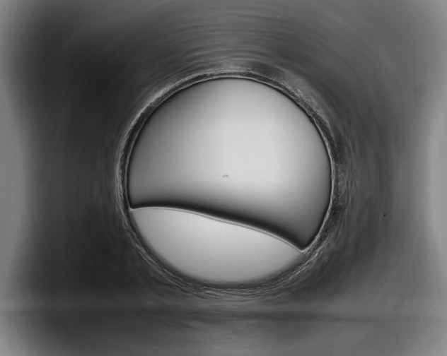 X0000098160789200804171217