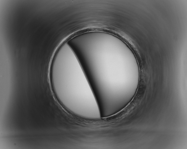 X0000098160791200804171216