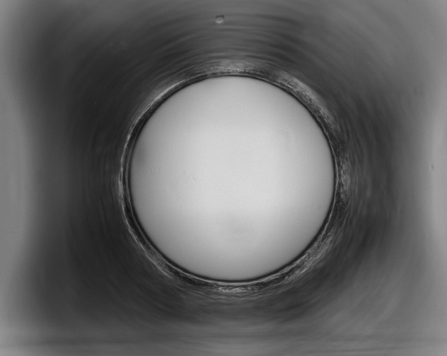 X0000098160794200804171216