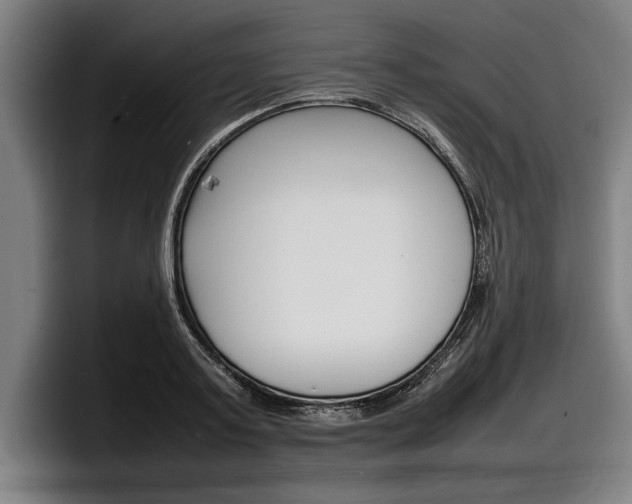 X0000098160795200804171216