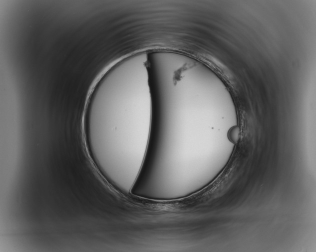 X0000098160796200804171216