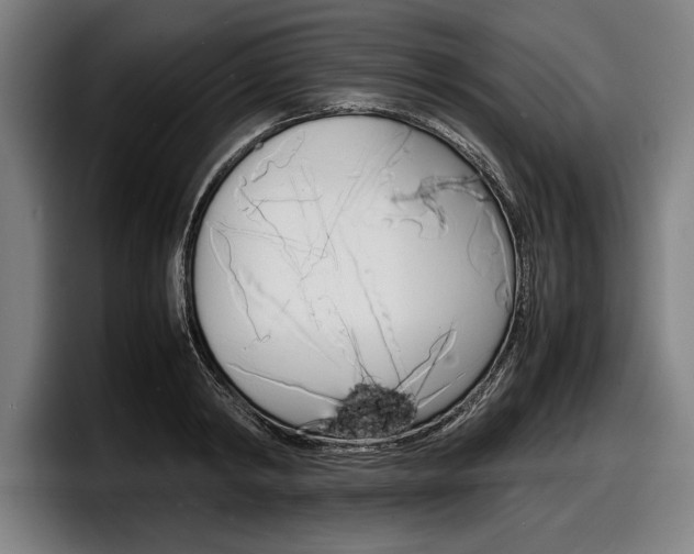 X0000098160798200804171216
