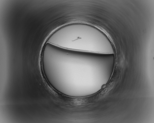 X0000098160799200804171216