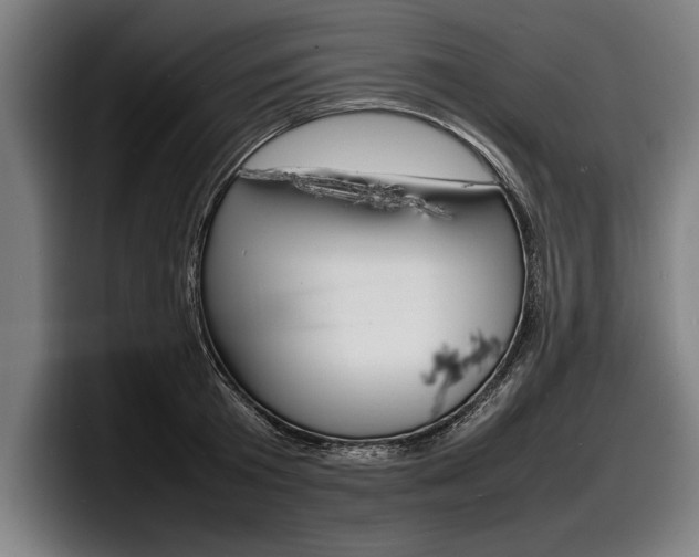 X0000098160801200804171216
