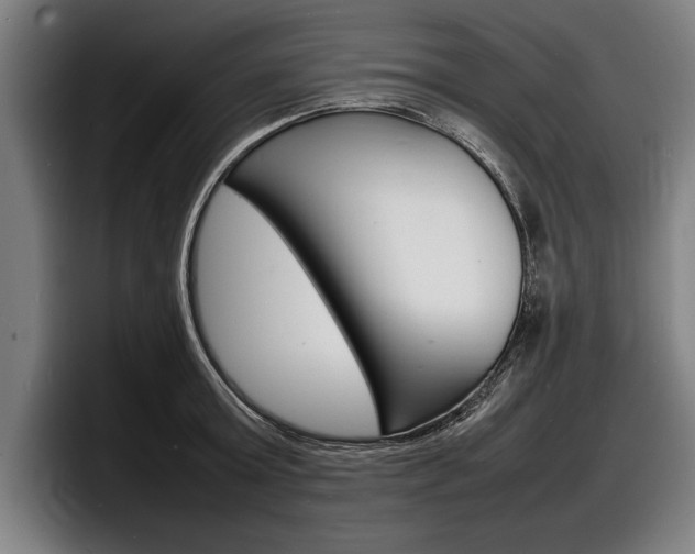 X0000098160803200804171216