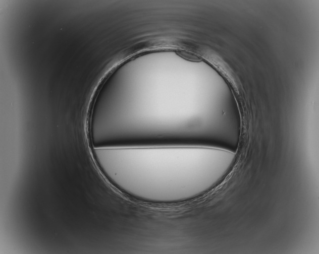 X0000098160805200804171216