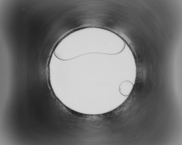 X0000098160807200804171216