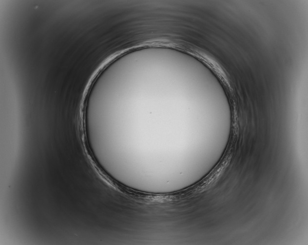 X0000098160808200804171216