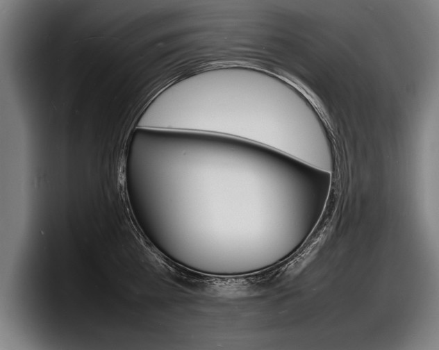 X0000098160809200804171216