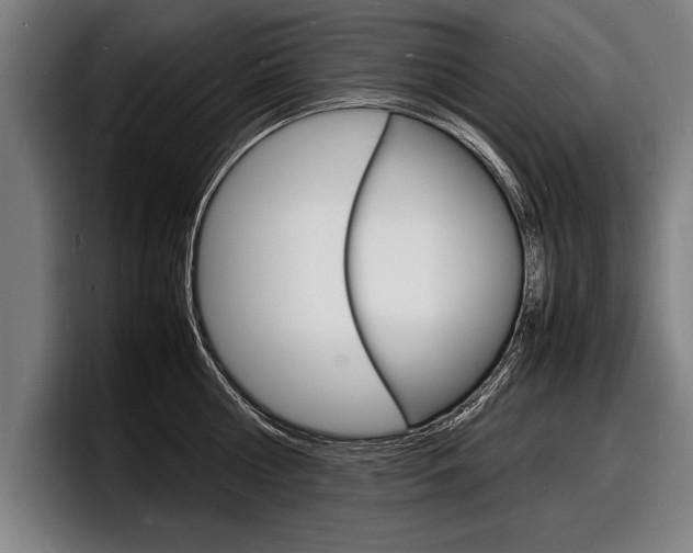 X0000098160810200804171216