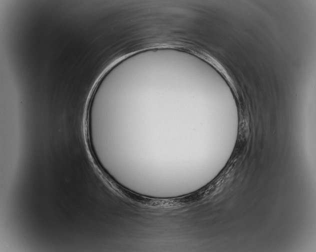 X0000098160811200804171216