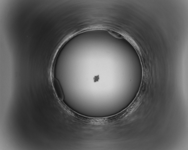 X0000098160813200804171216