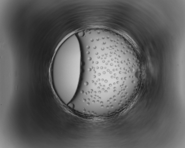X0000098160814200804171216