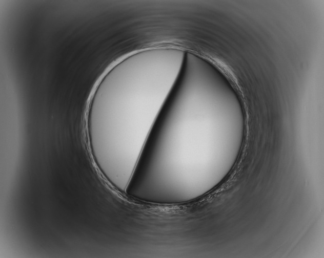 X0000098160816200804171216