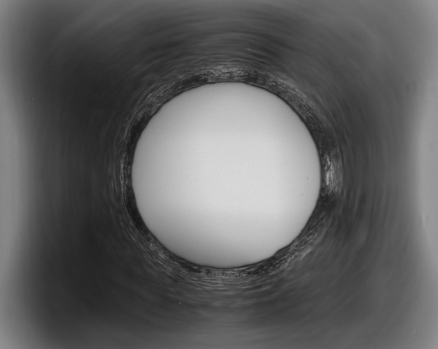 X0000098160819200804171216