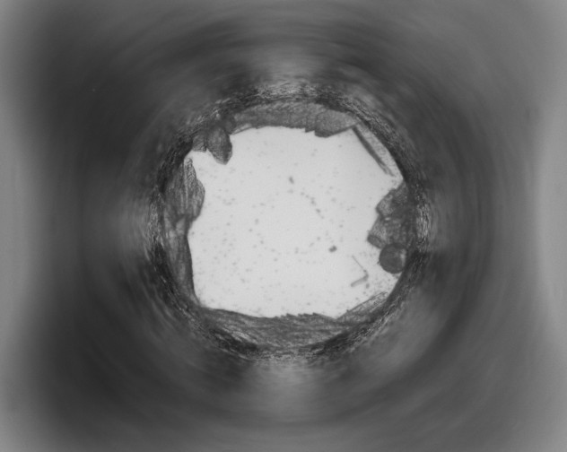 X0000098160820200804171216