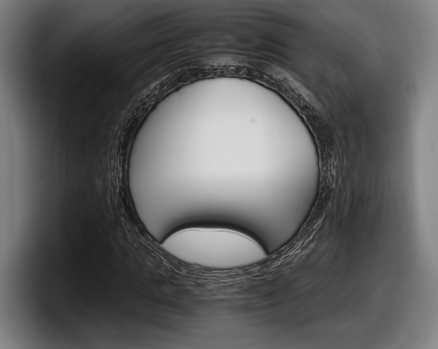X0000098160821200804171216