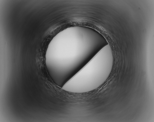 X0000098160822200804171216