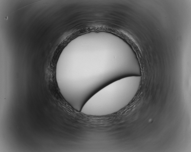 X0000098160823200804171216