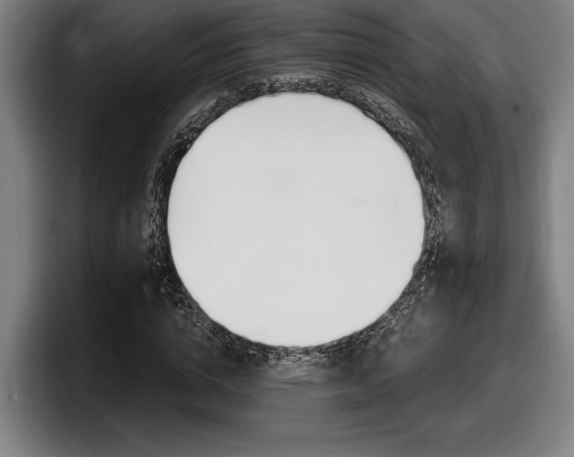 X0000098160824200804171216