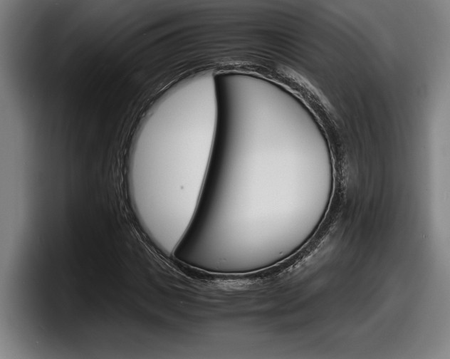 X0000098160825200804171216