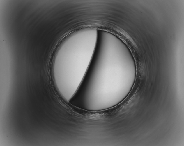 X0000098160826200804171216