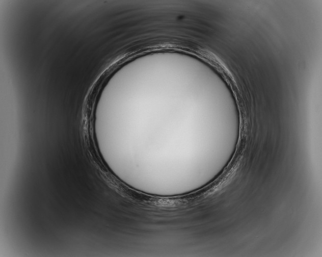 X0000098160827200804171216