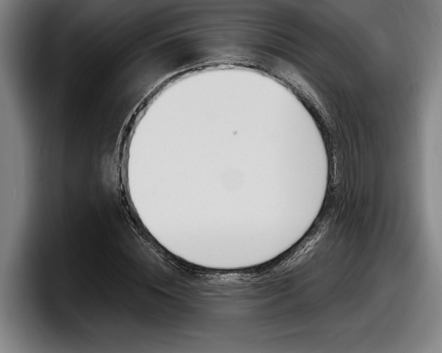 X0000098160828200804171216