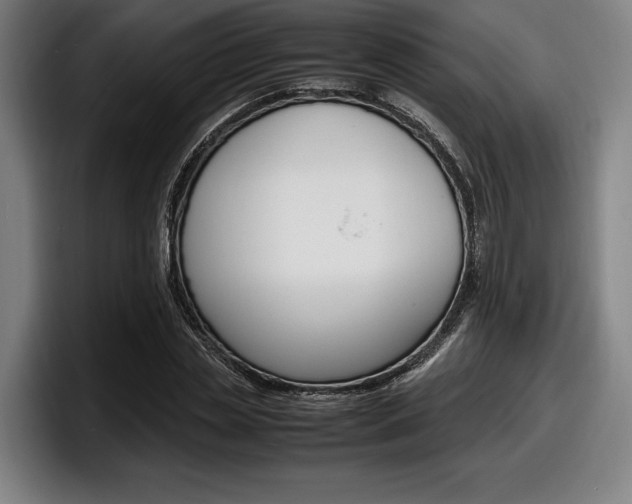 X0000098160829200804171216