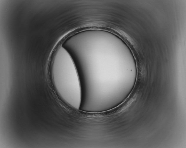 X0000098160830200804171216