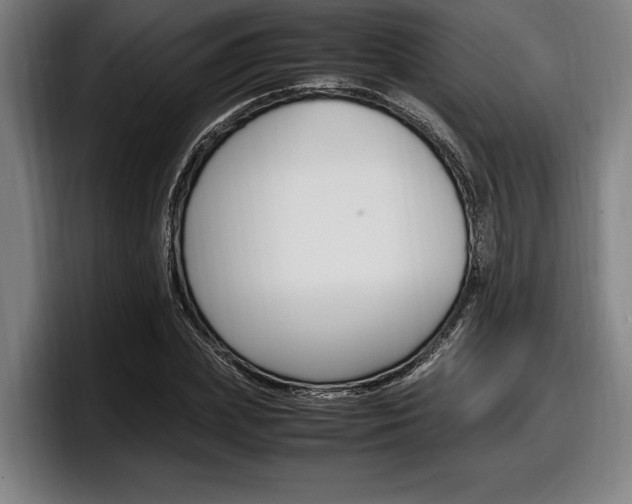 X0000098160831200804171216